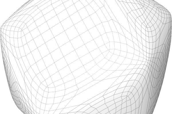 Non Fungible Geometry