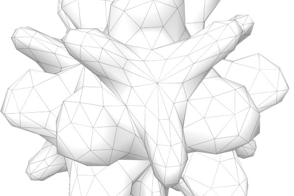 Non Fungible Geometry