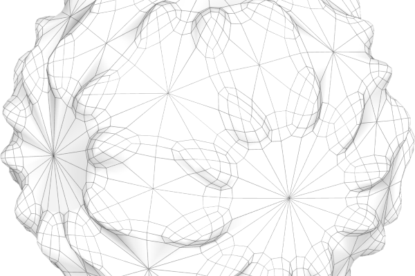 Non Fungible Geometry