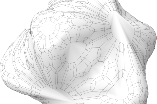 Non Fungible Geometry