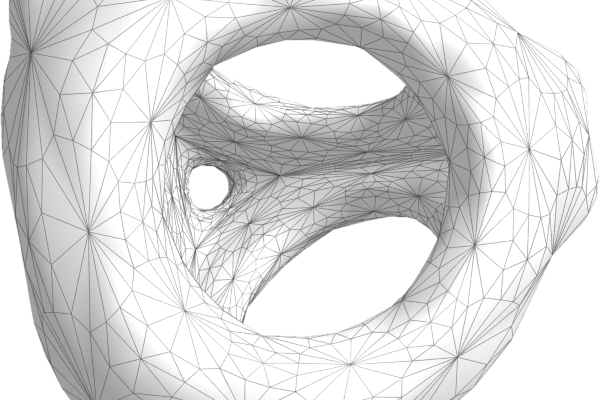 Non Fungible Geometry