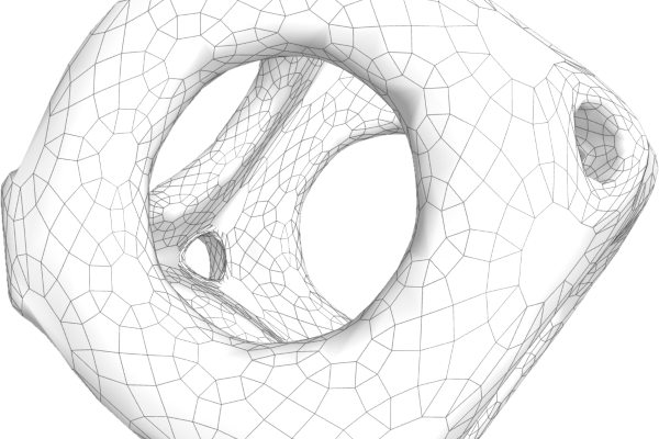 Non Fungible Geometry