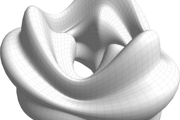 Non Fungible Geometry