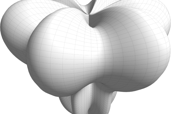 Non Fungible Geometry