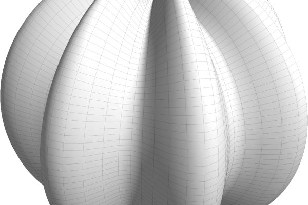 Non Fungible Geometry