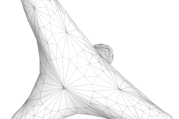 Non Fungible Geometry