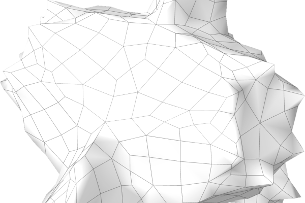 Non Fungible Geometry