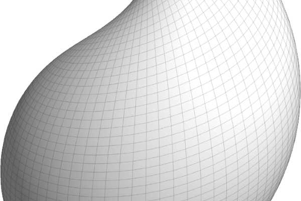 Non Fungible Geometry